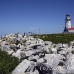 lighthouse_island_seal_machias_h_3023_can1672.jpg